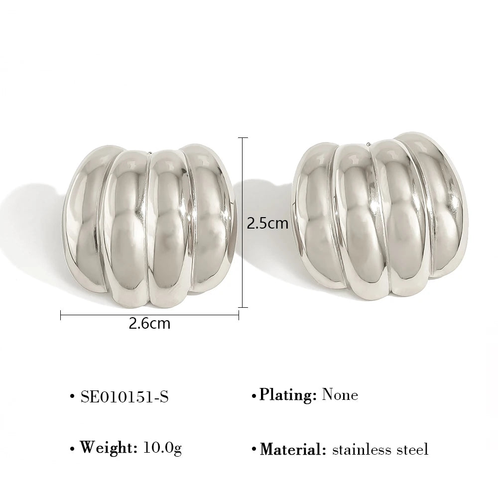 Molten Chic Earrings