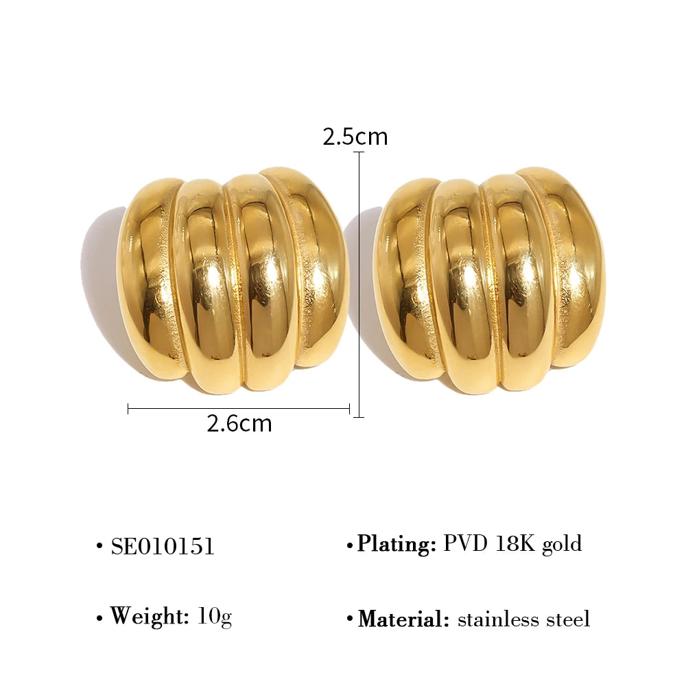 Molten Chic Earrings